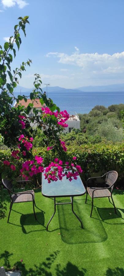 Seaside Boutique Villa Vólos Extérieur photo